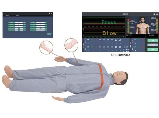 KM/CPR600 高级心肺复苏模拟人（计算机控制-无线连接）