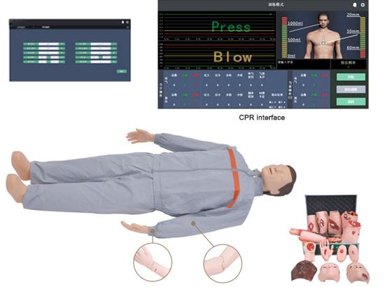 KM/CPR650 高级心肺复苏、创伤模拟人（计算机控制、二合一组合）