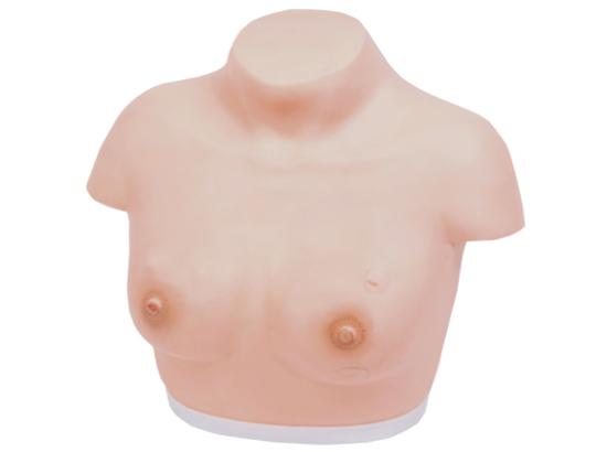 KM/14A 高级乳腺视诊与触诊模型