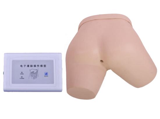 KM/15A 电子灌肠操作模型