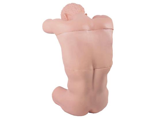 KM/CK812 胸腔（背部）穿刺训练模型