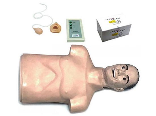 KM/CPR183 高级老年半身心肺复苏训练模拟人（带控制器）