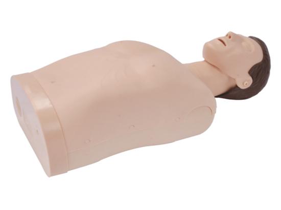 KM/CPR190 半身心肺复苏训练模拟人（简易型）