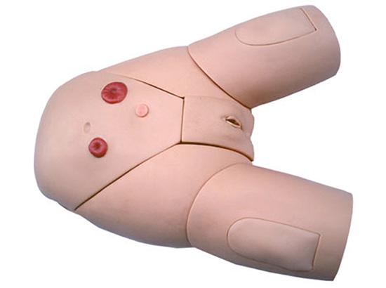 KM/D4 高级女性导尿模型