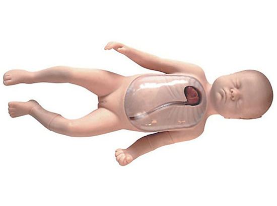 KM/L67B 新生儿外周中心静脉插管模型