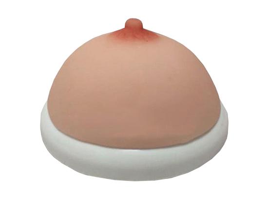 KM/RF4 催乳乳房模型